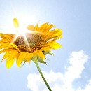 FFC Ketsch Hansdieter Gehres 04